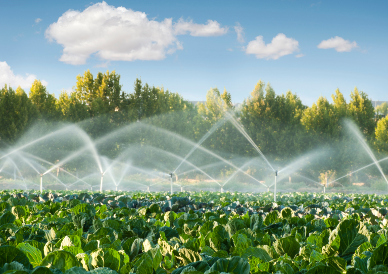 Innovación Verde: Transformando la agricultura con sistemas de riego sostenibles en Sabadell